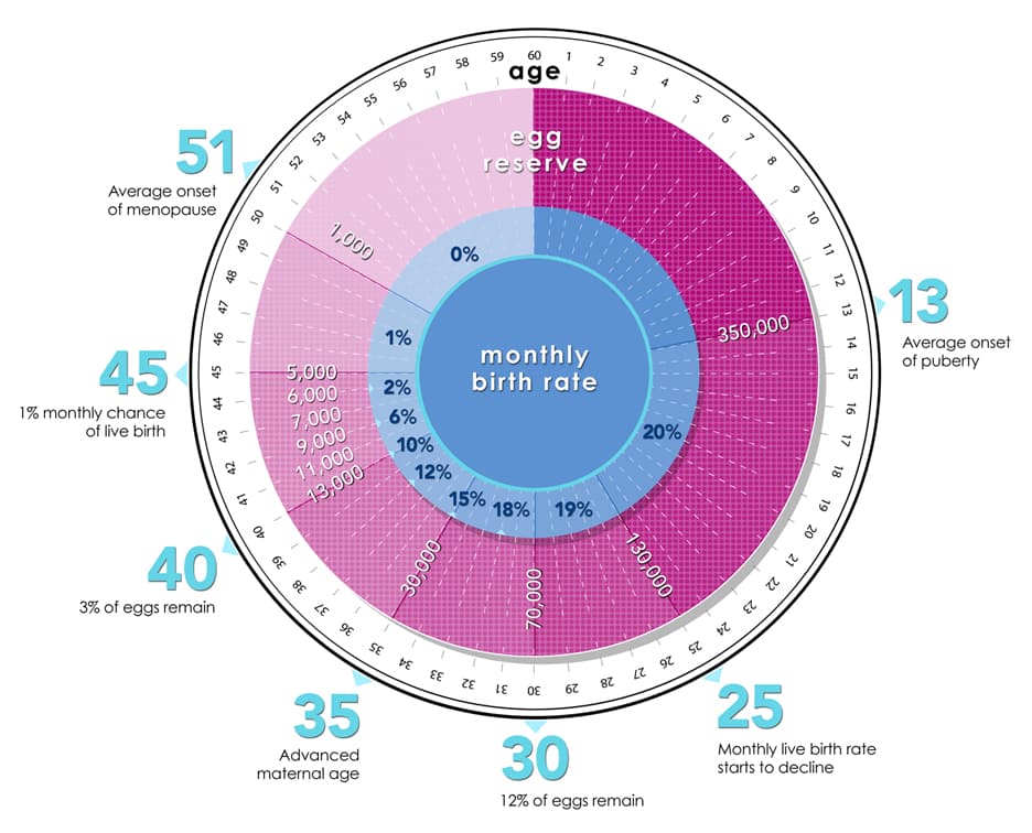 Chances of Getting Pregnant By Age